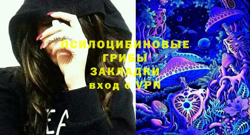 Галлюциногенные грибы мухоморы  Аркадак 